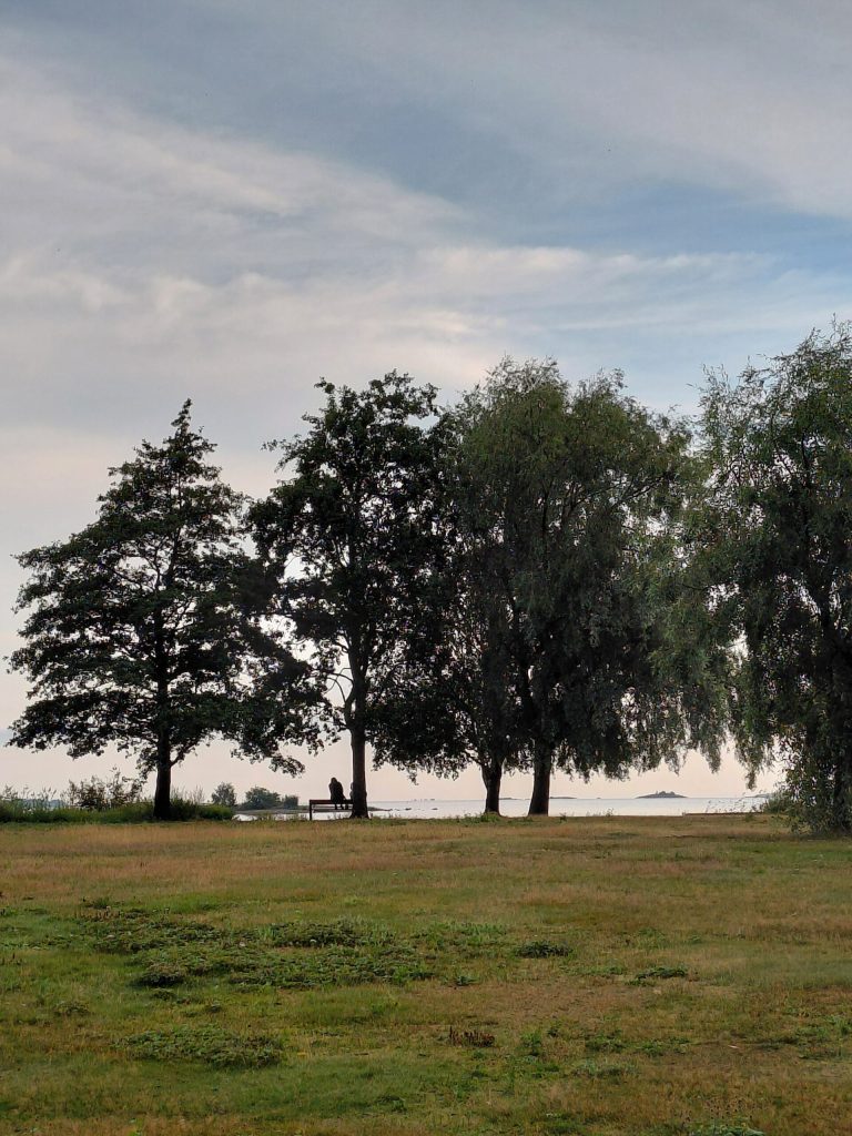 Kesäaamu 2022 – Summer early morning 2022
