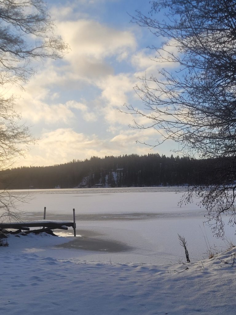 Ikäihmisen kodit- yksinäisyys vai yhteisöllisyys